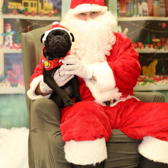 Meet your Posher, Patricia - Picture 6 of 6